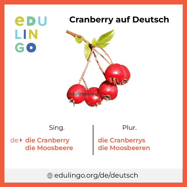Cranberry auf Deutsch Vokabelbild mit Singular und Plural zum Herunterladen und Ausdrucken