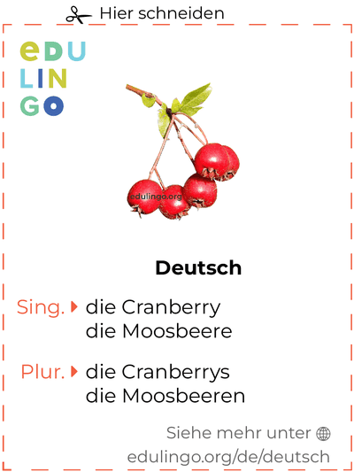 Cranberry auf Deutsch Vokabelkartei zum Ausdrucken, Üben und Lernen