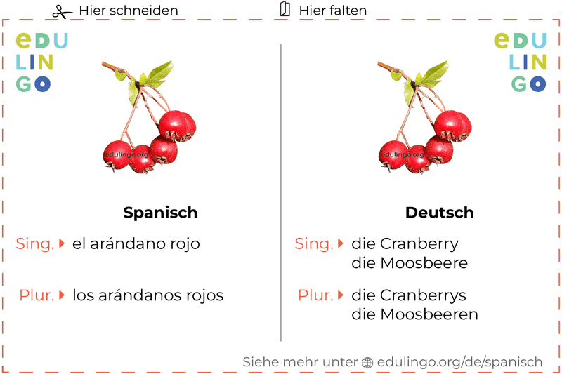 Cranberry auf Spanisch Vokabelkartei zum Ausdrucken, Üben und Lernen
