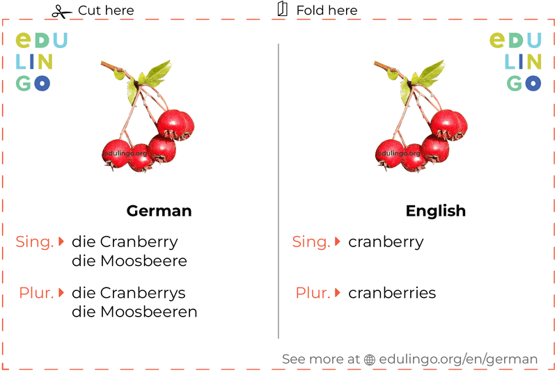 Cranberry in German vocabulary flashcard for printing, practicing and learning