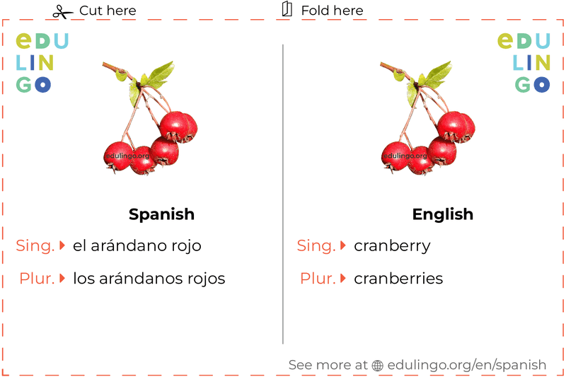 Cranberry in Spanish vocabulary flashcard for printing, practicing and learning
