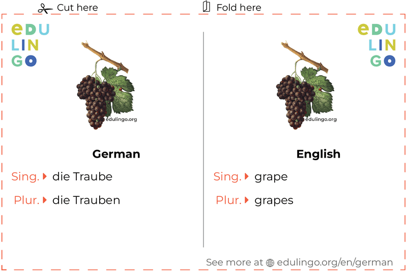Grape in German vocabulary flashcard for printing, practicing and learning