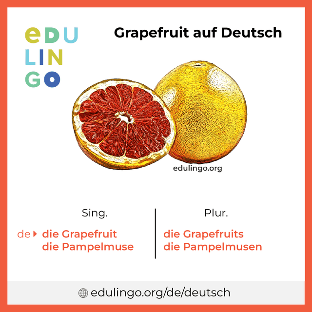 Grapefruit auf Deutsch Vokabelbild mit Singular und Plural zum Herunterladen und Ausdrucken