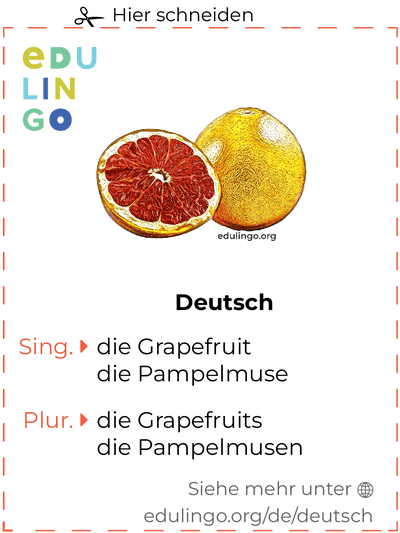 Grapefruit auf Deutsch Vokabelkartei zum Ausdrucken, Üben und Lernen