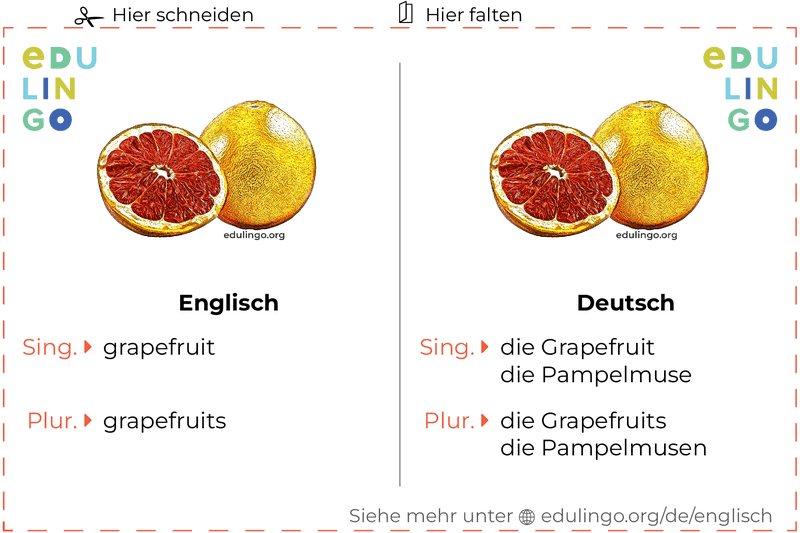 Grapefruit auf Englisch Vokabelkartei zum Ausdrucken, Üben und Lernen