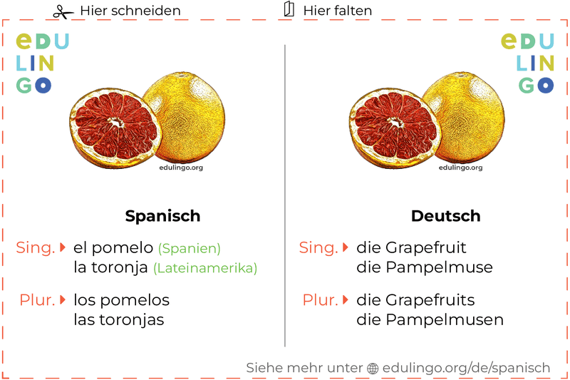 Grapefruit auf Spanisch Vokabelkartei zum Ausdrucken, Üben und Lernen