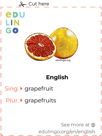 Grapefruit in English vocabulary flashcard for printing, practicing and learning
