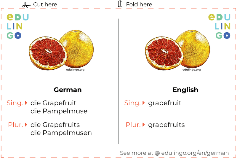 Grapefruit in German vocabulary flashcard for printing, practicing and learning