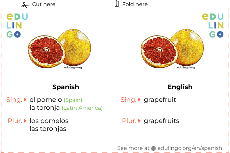 Grapefruit in Spanish vocabulary flashcard for printing, practicing and learning