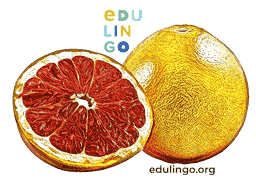 Thumbnail: Grapefruit in English