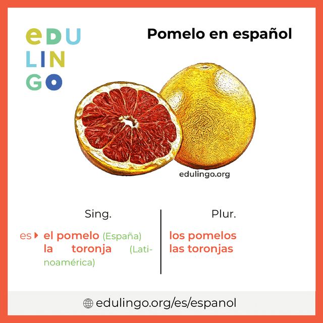 Imagen de vocabulario Pomelo en español con singular y plural para descargar e imprimir