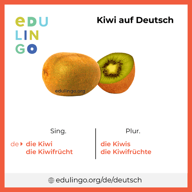 Kiwi auf Deutsch Vokabelbild mit Singular und Plural zum Herunterladen und Ausdrucken