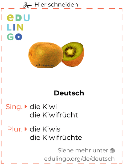 Kiwi auf Deutsch Vokabelkartei zum Ausdrucken, Üben und Lernen