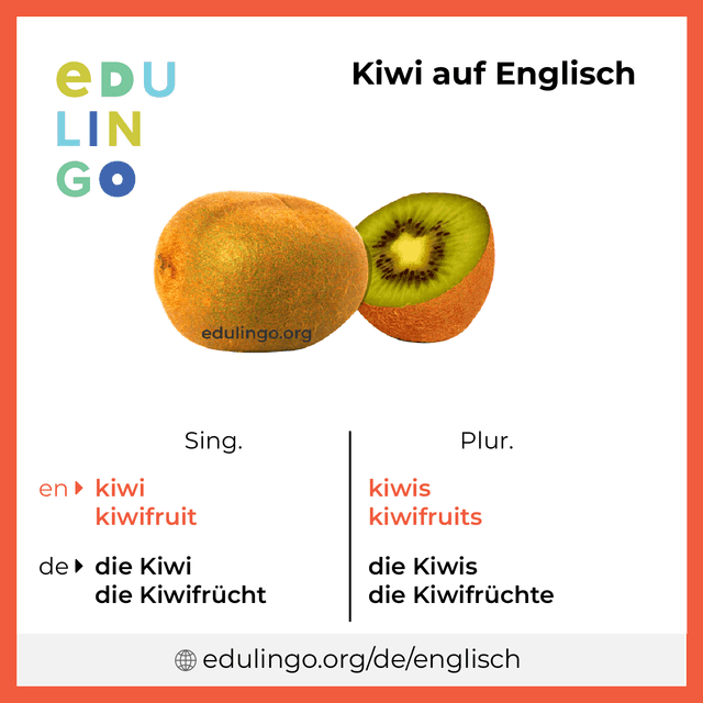 Kiwi auf Englisch Vokabelbild mit Singular und Plural zum Herunterladen und Ausdrucken