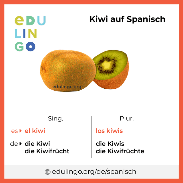 Kiwi auf Spanisch Vokabelbild mit Singular und Plural zum Herunterladen und Ausdrucken