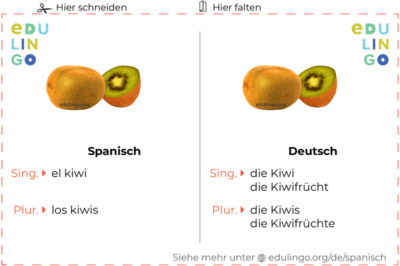 Kiwi auf Spanisch Vokabelkartei zum Ausdrucken, Üben und Lernen