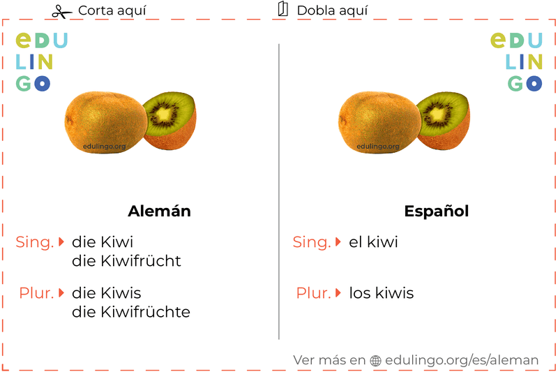 Ficha de Vocabulario Kiwi en alemán para imprimir, practicar y aprender