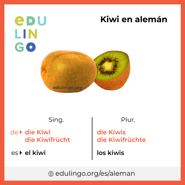 Imagen de vocabulario Kiwi en alemán con singular y plural para descargar e imprimir
