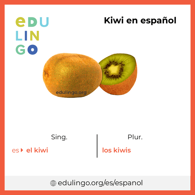 Imagen de vocabulario Kiwi en español con singular y plural para descargar e imprimir