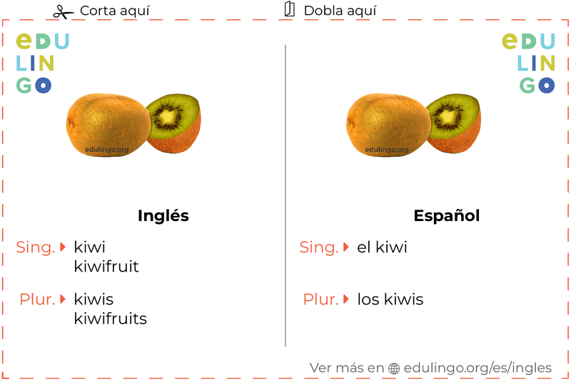 Ficha de Vocabulario Kiwi en inglés para imprimir, practicar y aprender
