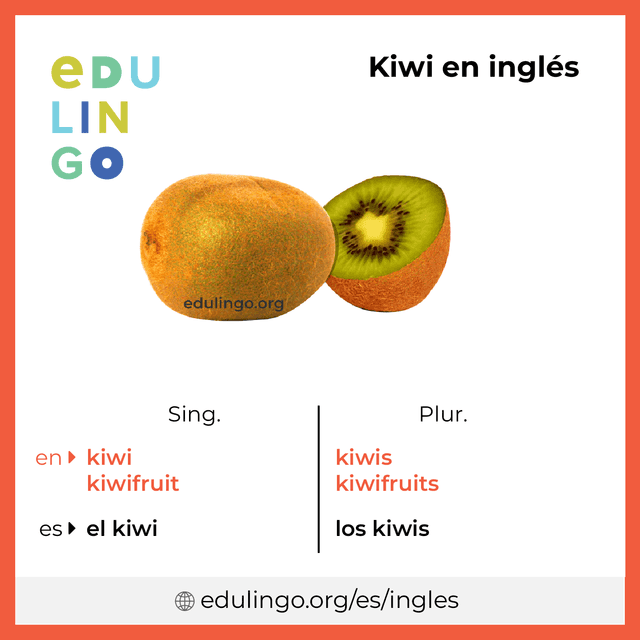 Imagen de vocabulario Kiwi en inglés con singular y plural para descargar e imprimir