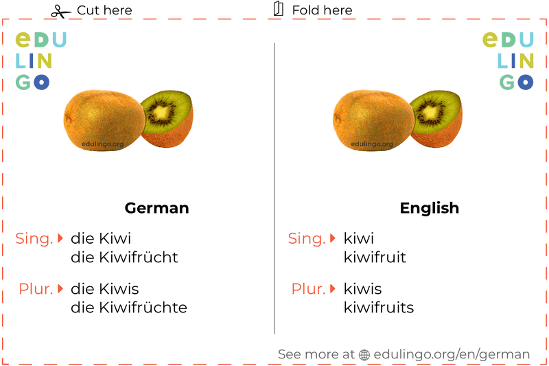 Kiwi in German vocabulary flashcard for printing, practicing and learning