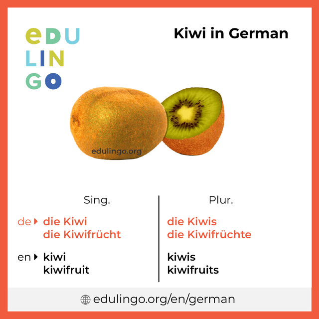 Kiwi in German vocabulary picture with singular and plural for download and printing