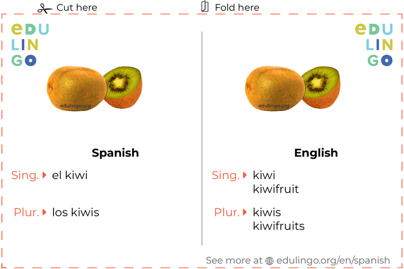 Kiwi in Spanish vocabulary flashcard for printing, practicing and learning