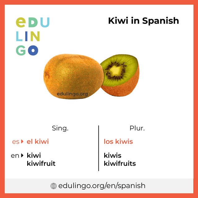 Kiwi in Spanish vocabulary picture with singular and plural for download and printing