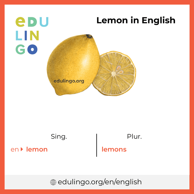 Lemon in English vocabulary picture with singular and plural for download and printing