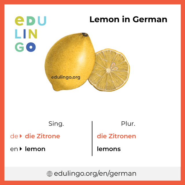 Lemon in German vocabulary picture with singular and plural for download and printing
