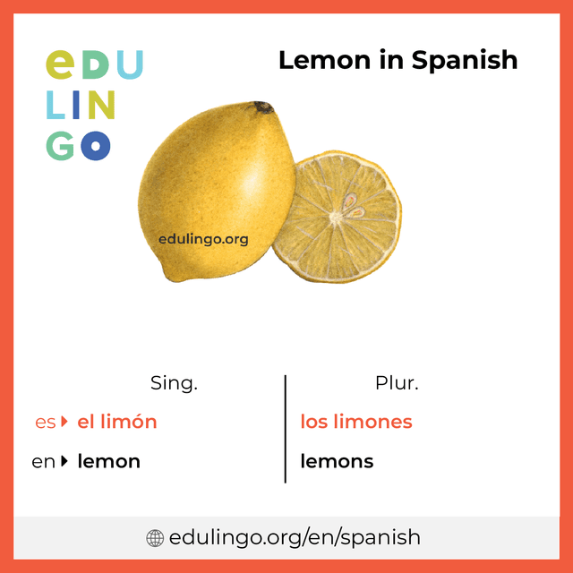 Lemon in Spanish vocabulary picture with singular and plural for download and printing