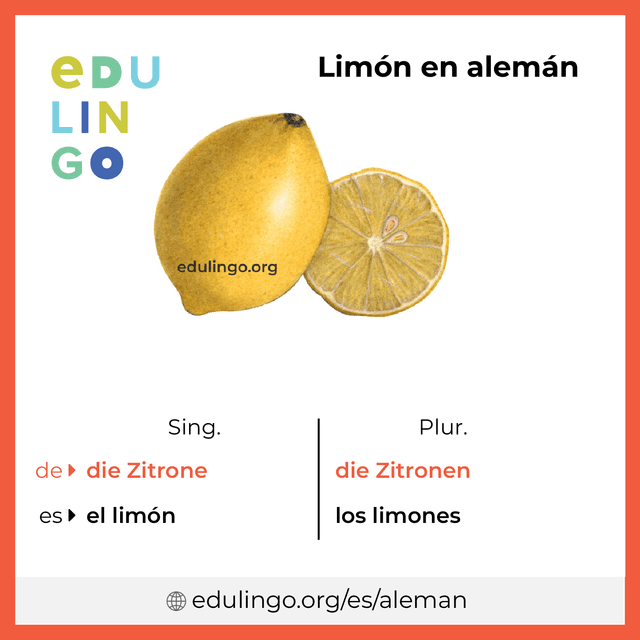Imagen de vocabulario Limón en alemán con singular y plural para descargar e imprimir
