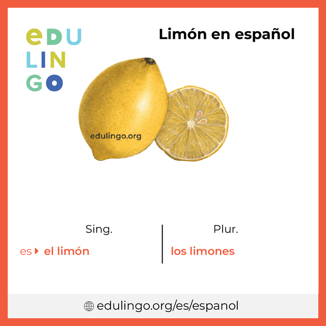 Imagen de vocabulario Limón en español con singular y plural para descargar e imprimir