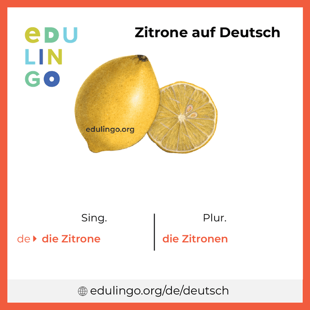 Zitrone auf Deutsch Vokabelbild mit Singular und Plural zum Herunterladen und Ausdrucken