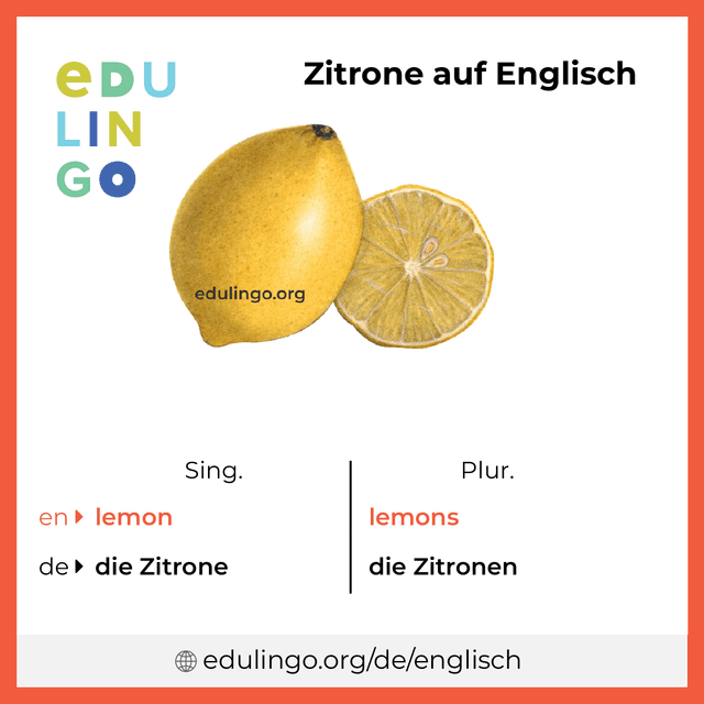 Zitrone auf Englisch Vokabelbild mit Singular und Plural zum Herunterladen und Ausdrucken