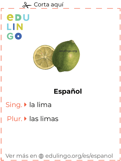Ficha de Vocabulario Lima en español para imprimir, practicar y aprender