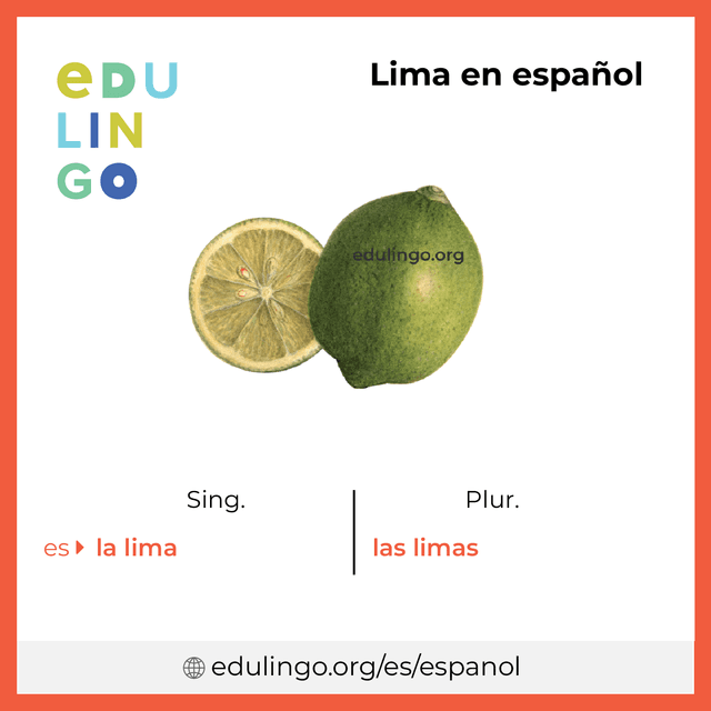 Imagen de vocabulario Lima en español con singular y plural para descargar e imprimir