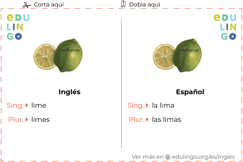 Ficha de Vocabulario Lima en inglés para imprimir, practicar y aprender