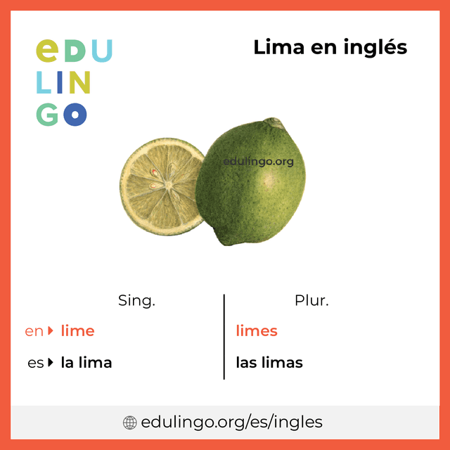 Imagen de vocabulario Lima en inglés con singular y plural para descargar e imprimir