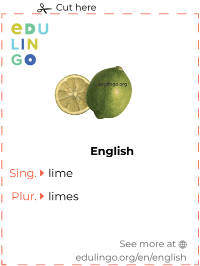 Lime in English vocabulary flashcard for printing, practicing and learning