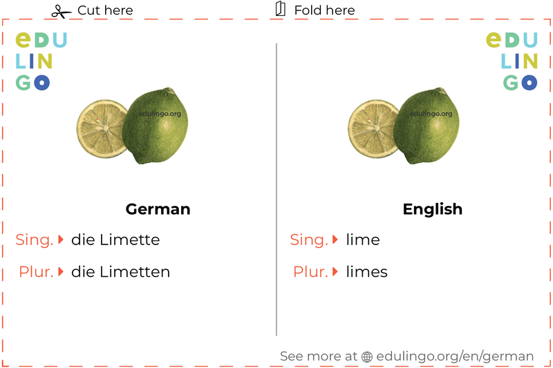 Lime in German vocabulary flashcard for printing, practicing and learning