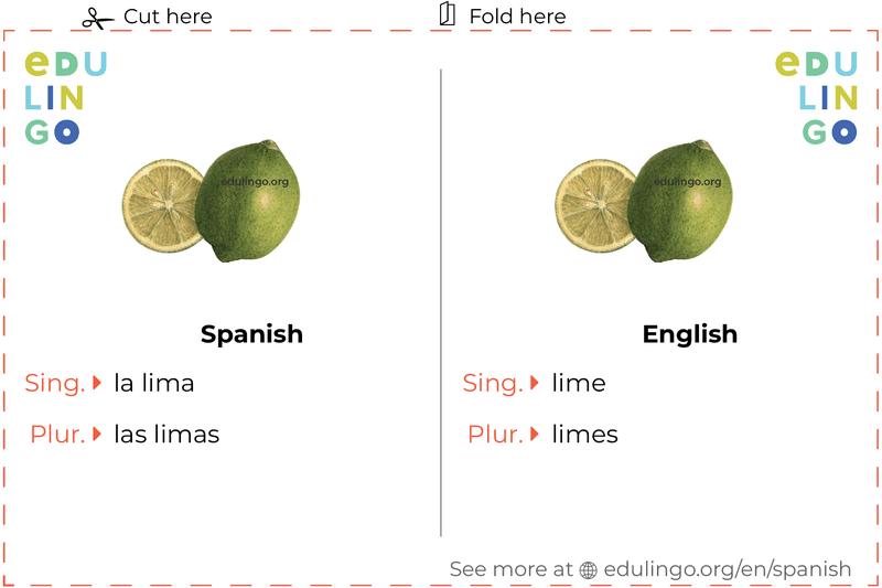 Lime in Spanish vocabulary flashcard for printing, practicing and learning