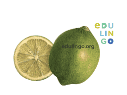 Thumbnail: Lime in German