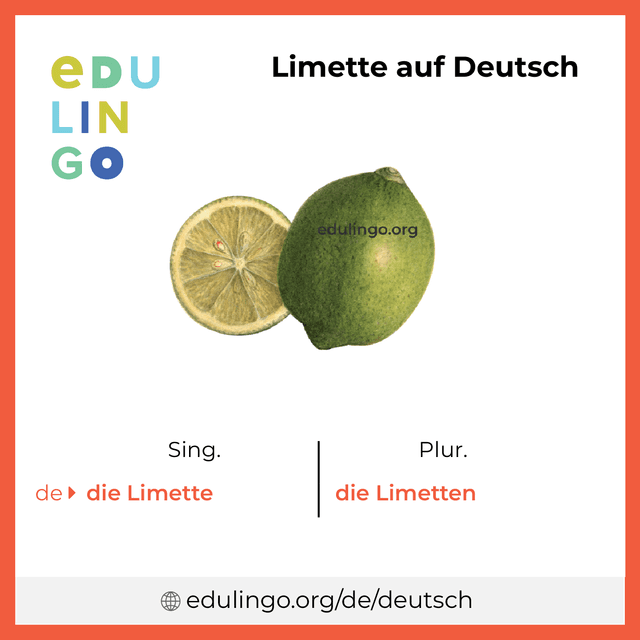 Limette auf Deutsch Vokabelbild mit Singular und Plural zum Herunterladen und Ausdrucken