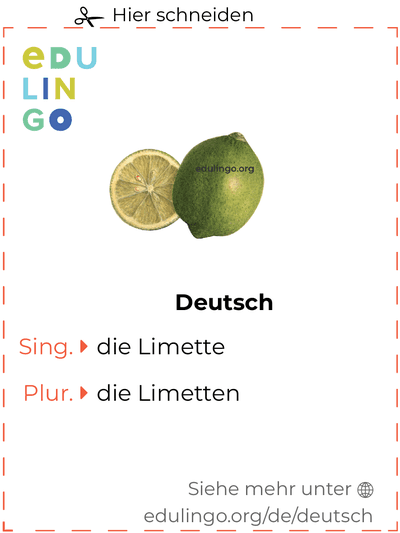 Limette auf Deutsch Vokabelkartei zum Ausdrucken, Üben und Lernen