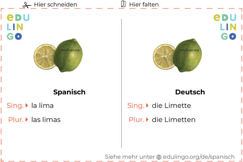 Limette auf Spanisch Vokabelkartei zum Ausdrucken, Üben und Lernen