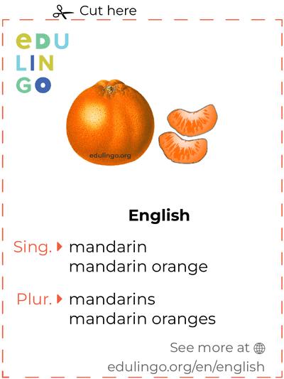 Mandarin in English vocabulary flashcard for printing, practicing and learning