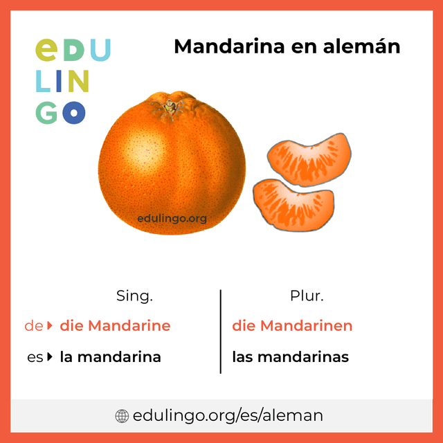 Imagen de vocabulario Mandarina en alemán con singular y plural para descargar e imprimir