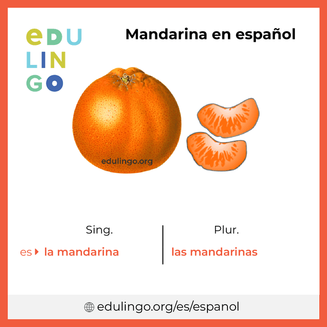 Imagen de vocabulario Mandarina en español con singular y plural para descargar e imprimir